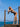 Costume da Bagno Intero Borchie Selvaggia Pin-Up Stars