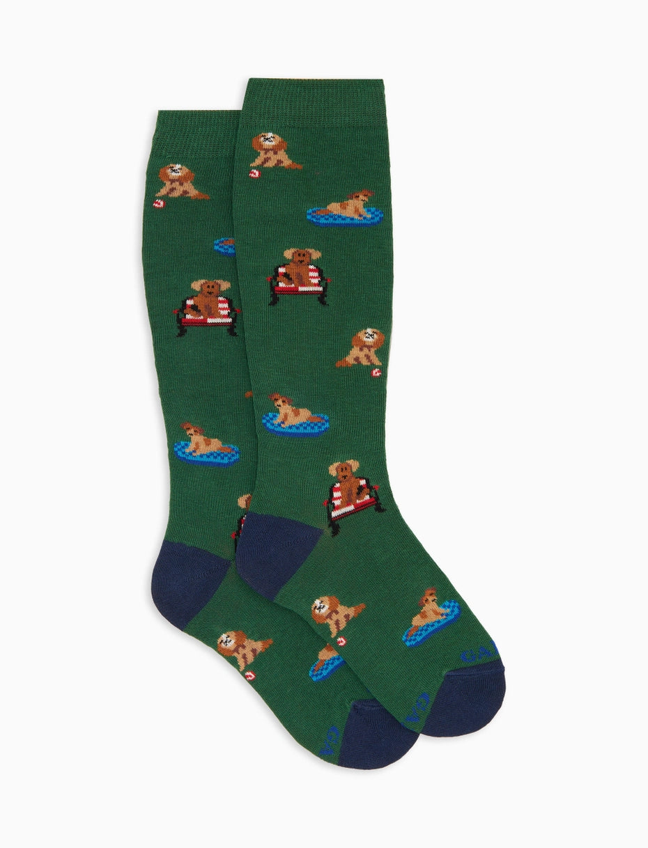 Calze lunghe bambino cotone verde fantasia cani Gallo