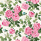 Fascia da bagno con stampa e ricamo Rose e Slip a scelta Twinset